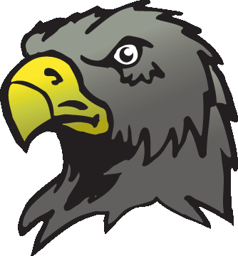 Picture Of Hawks - ClipArt Best