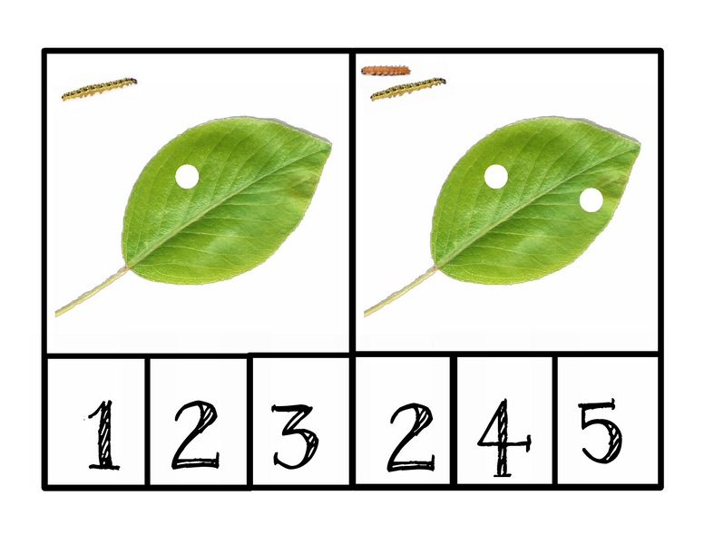 bugs activities leaf number Â« funnycrafts