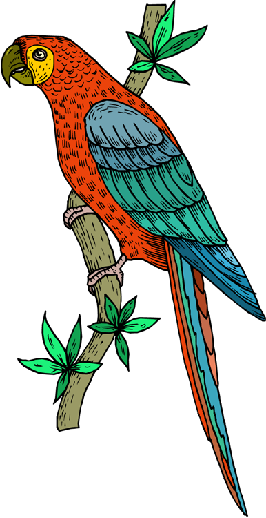 Free Parrot and Macaw Clipart