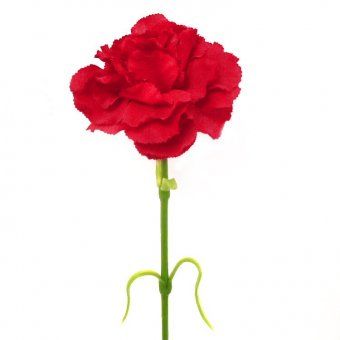 Flower, Stems and Red - ClipArt Best - ClipArt Best