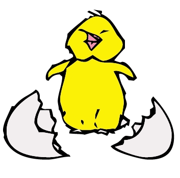 Baby chick hatching clipart image #22305