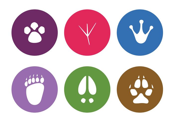 Vector Animal Footprints - Download Free Vector Art, Stock ...