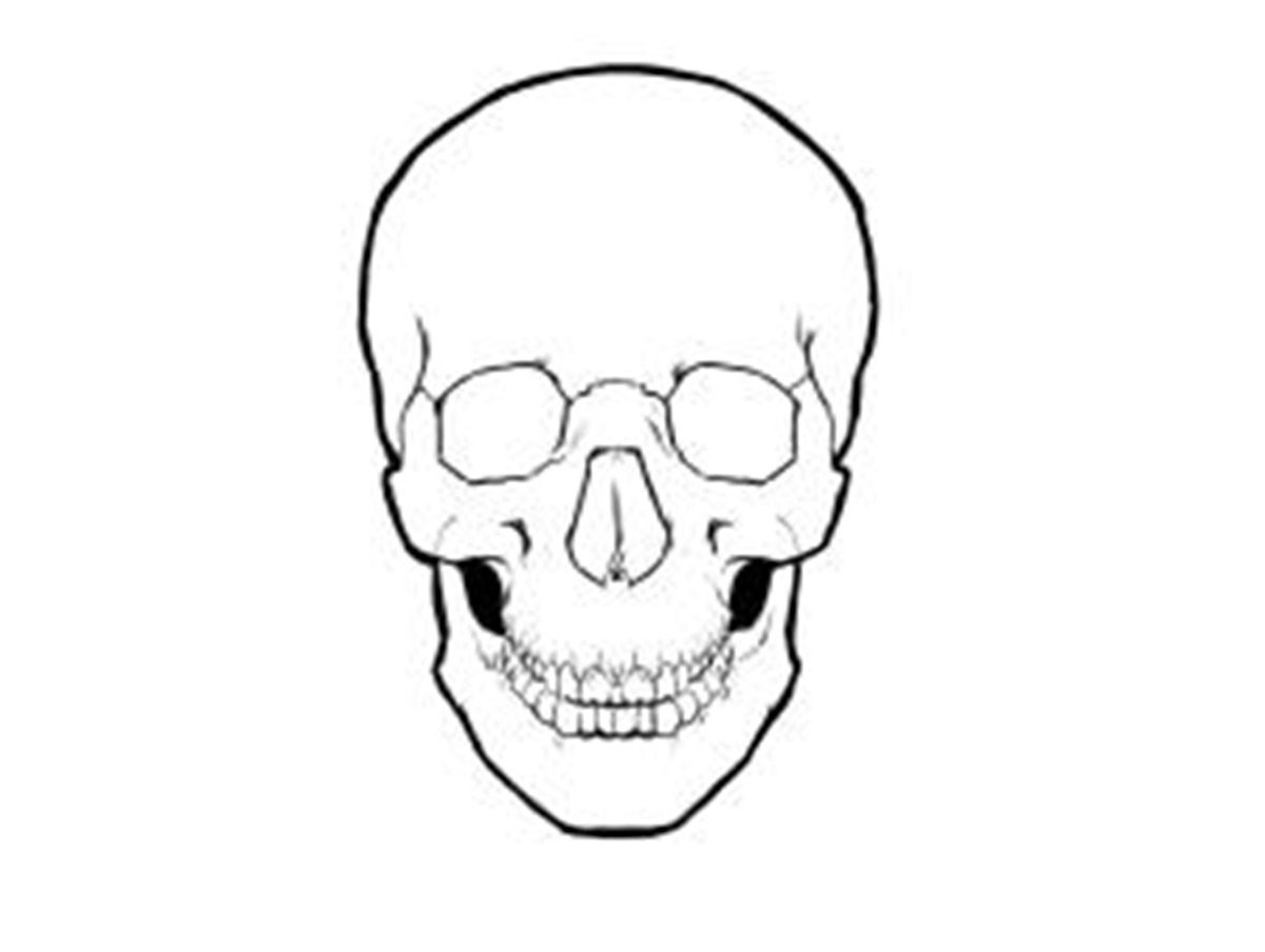 Simple Skull Drawing | Best Images Collections HD For Gadget ...
