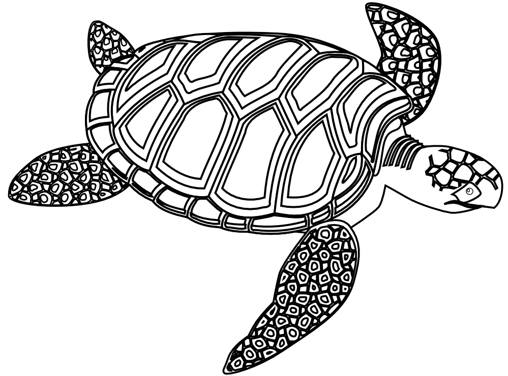 Sea Turtle Black And White Clipart