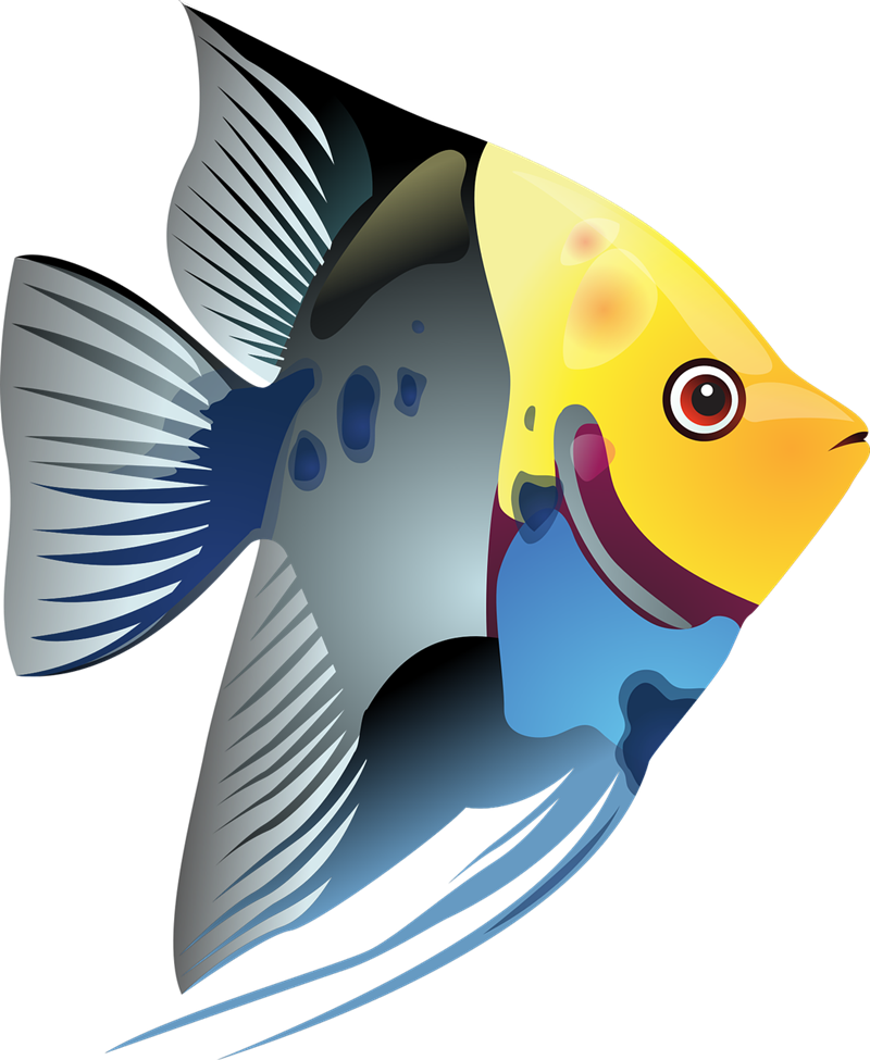 Tropical Fish Clip Art – Clipart Free Download