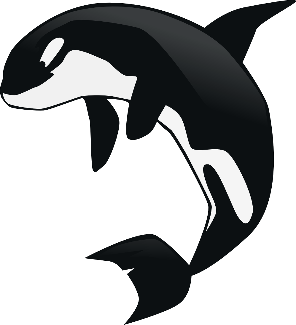 Orca Whale Clipart