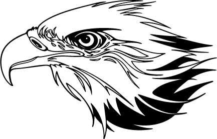 Flaming Eagle Head Decal 021 - TJM Graphix Shopping Cart