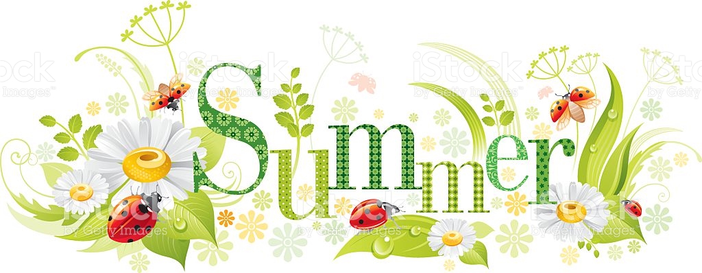 Four Seasons Summer Banner stock vector art 520324922 | iStock