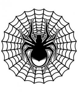 Spider Web Tattoo Designs