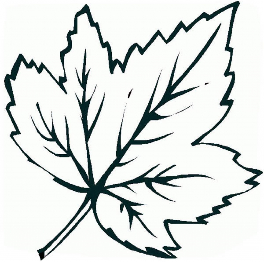 The Most Elegant Maple Leaf Coloring Page with regard to Present ...