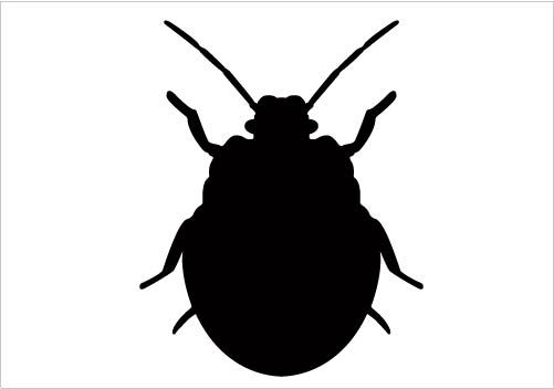 Black Bug Clip Art – Clipart Free Download