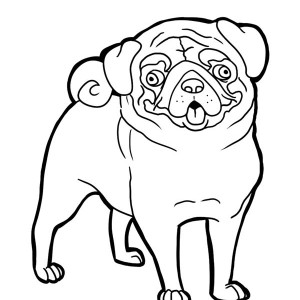 Pug is not in the Mood Coloring Page | Color Luna
