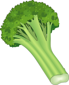 Free to Use & Public Domain Broccoli Clip Art