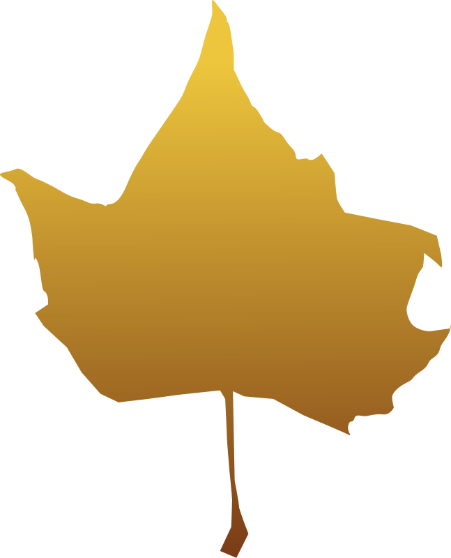 maple leaf vector