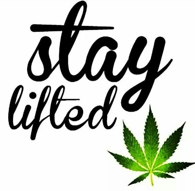 1000+ Weed Quotes | Weed, Cannabis and Medical Marijuana