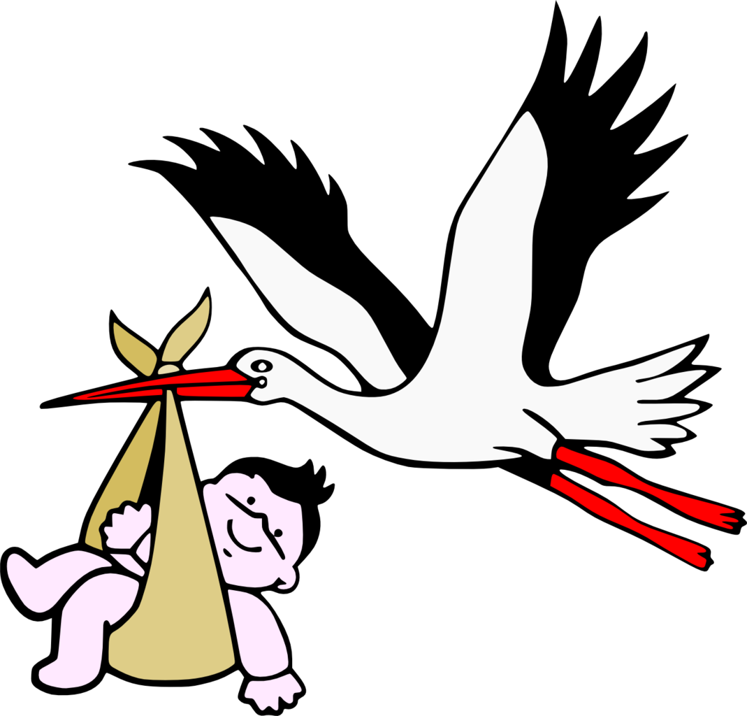 File:Stork with new-born child.png