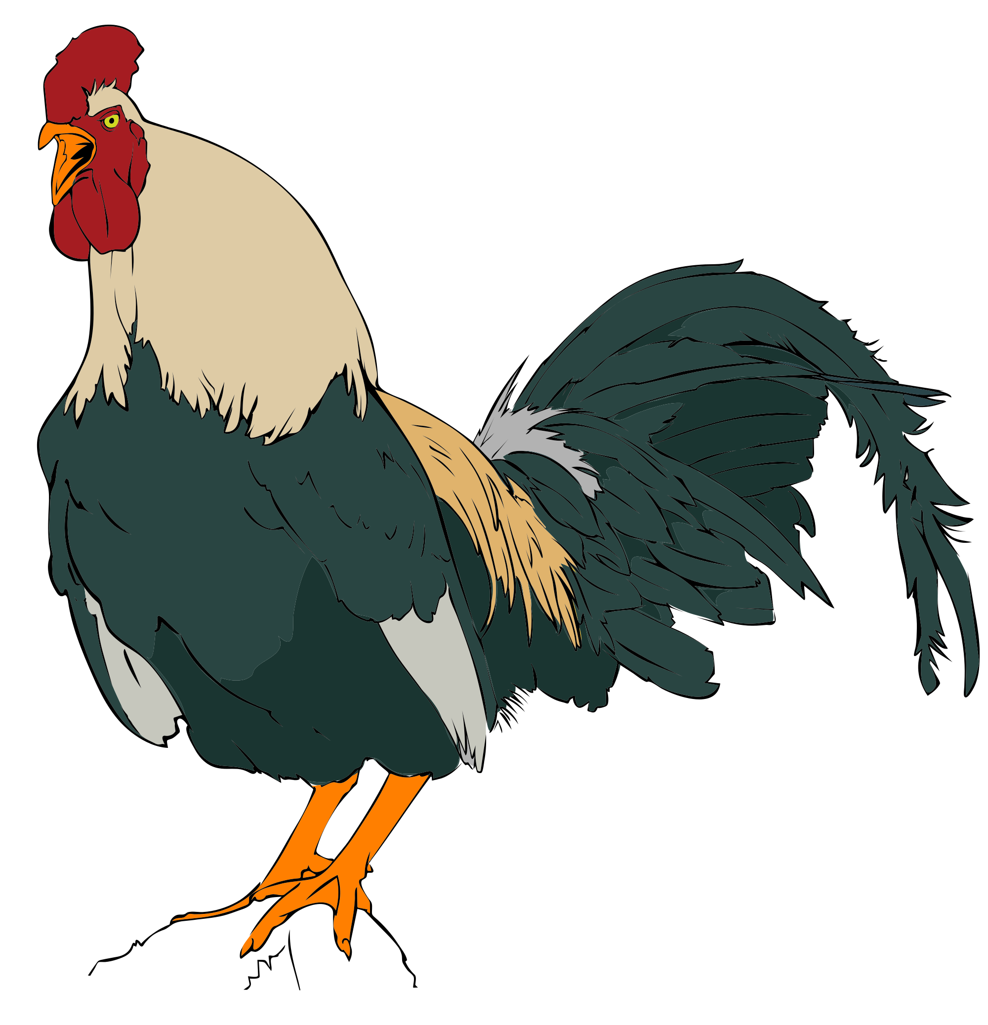 Rooster images clip art