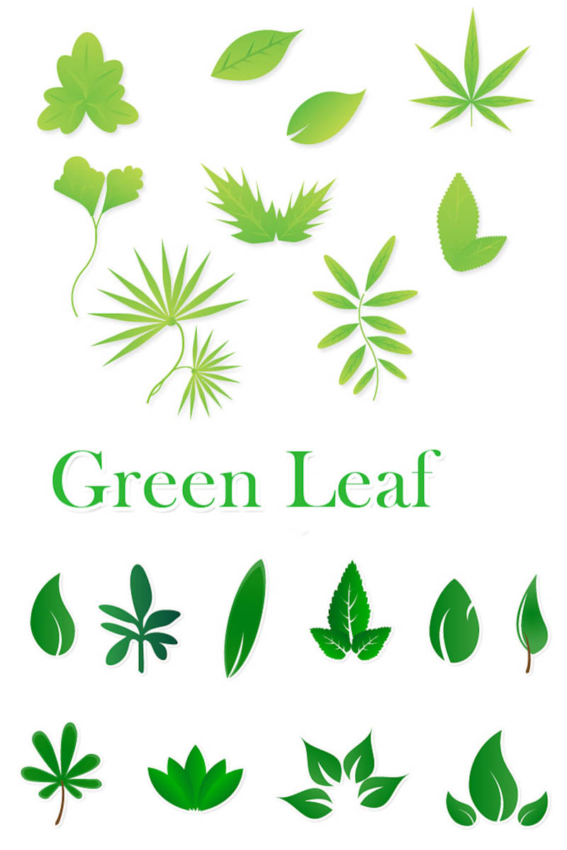 Green Leaves Vector Clip Art – Clipart Free Download