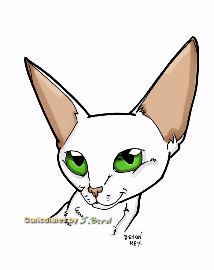 Cat Caricature | Free Download Clip Art | Free Clip Art | on ...