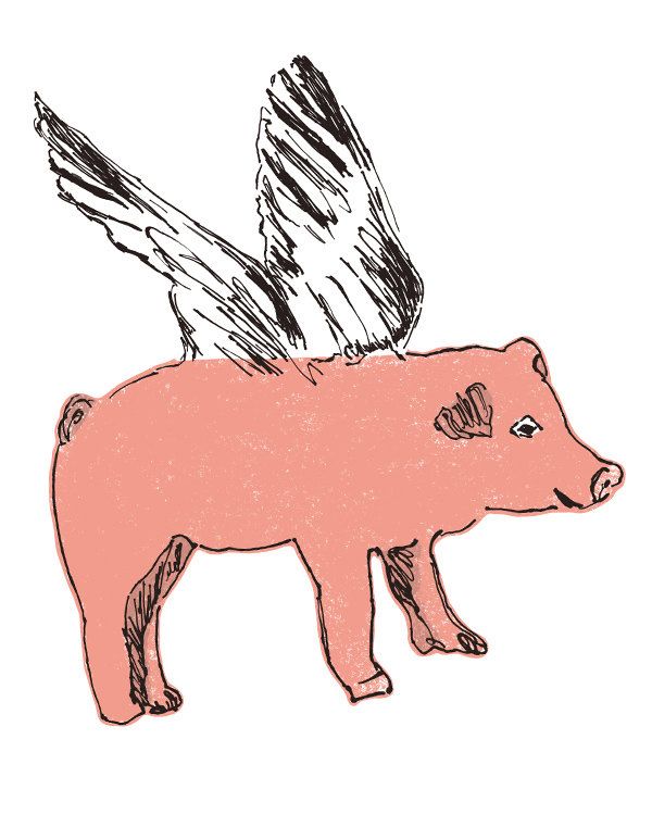 Flying Pig | Pigs, Mini Pigs and ...