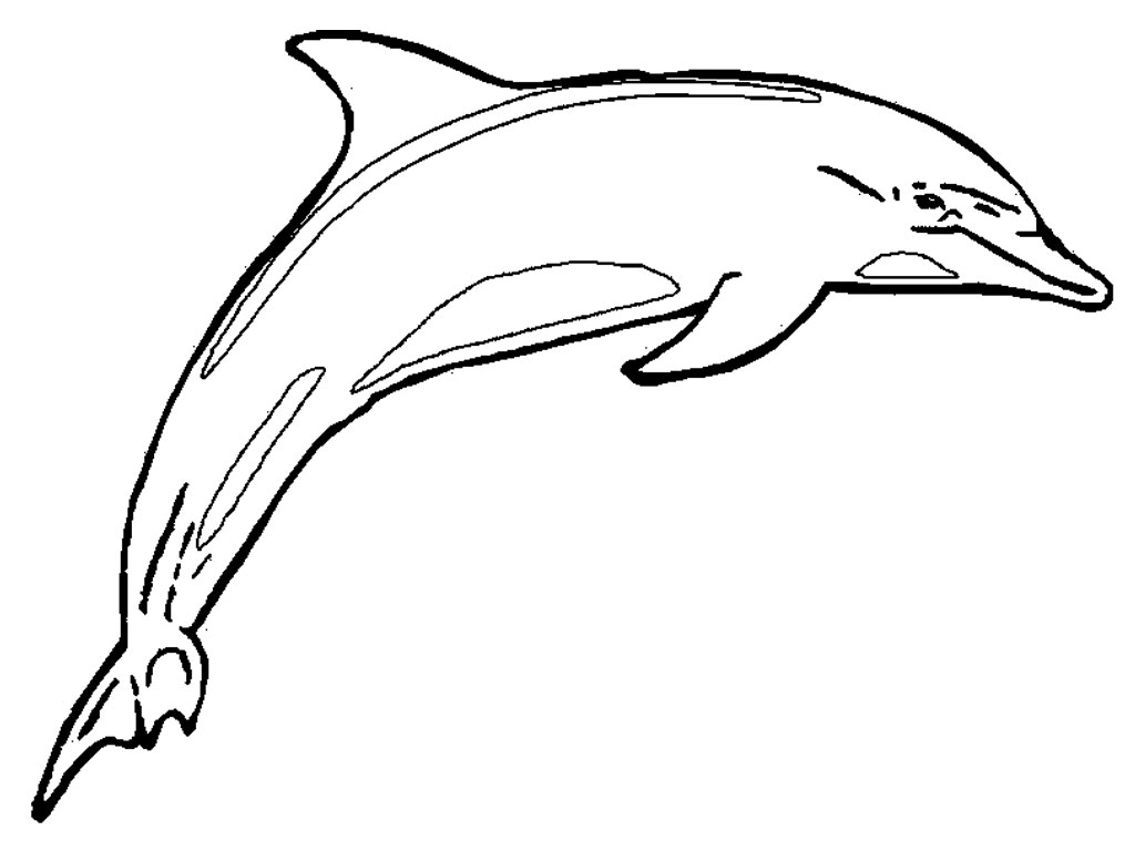 Dolphin black and white clip art - Dolphin black and white clipart ...