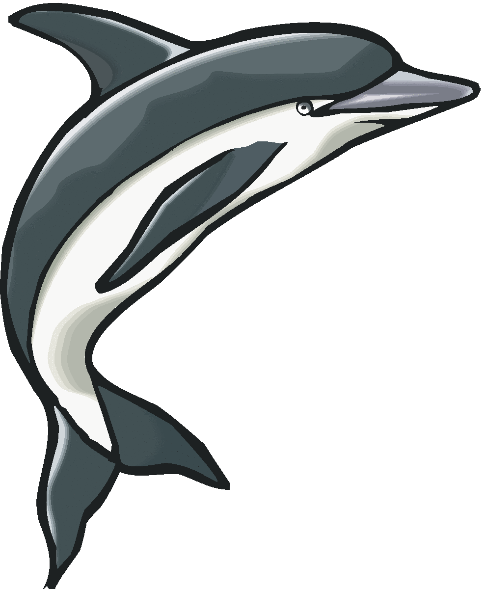 Dolphin Clip Art Black And White - Free Clipart Images
