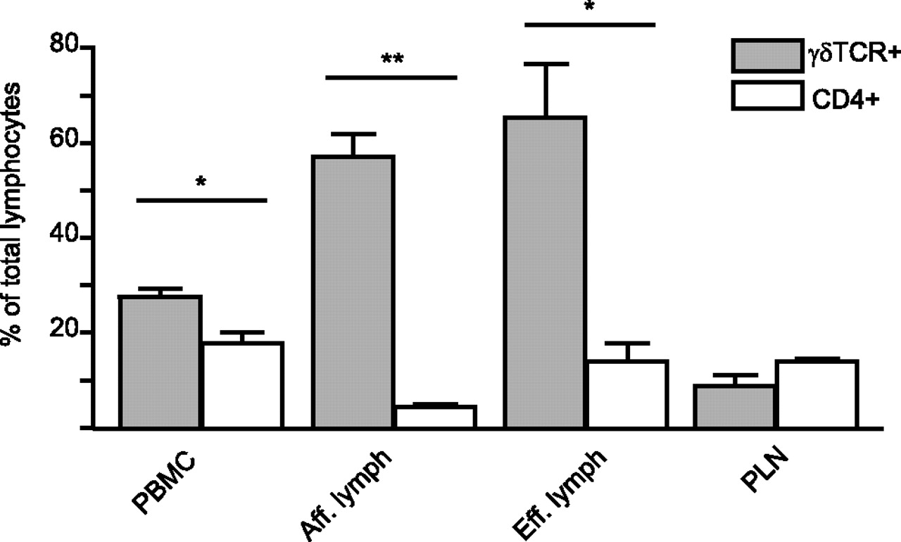 Î³Î´ T Cell Homing to Skin and Migration to Skin-Draining Lymph ...