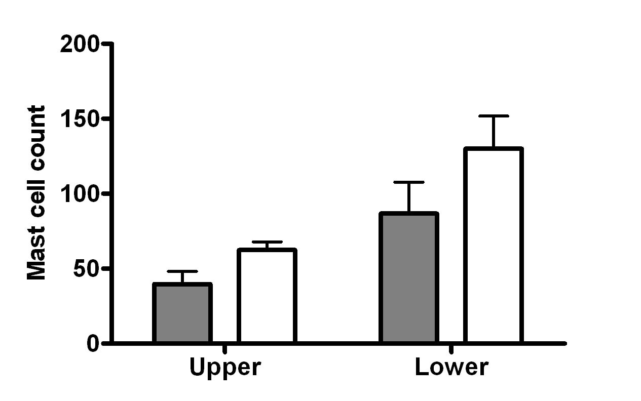 Peripheral and gastrointestinal immune systems of healthy cattle ...