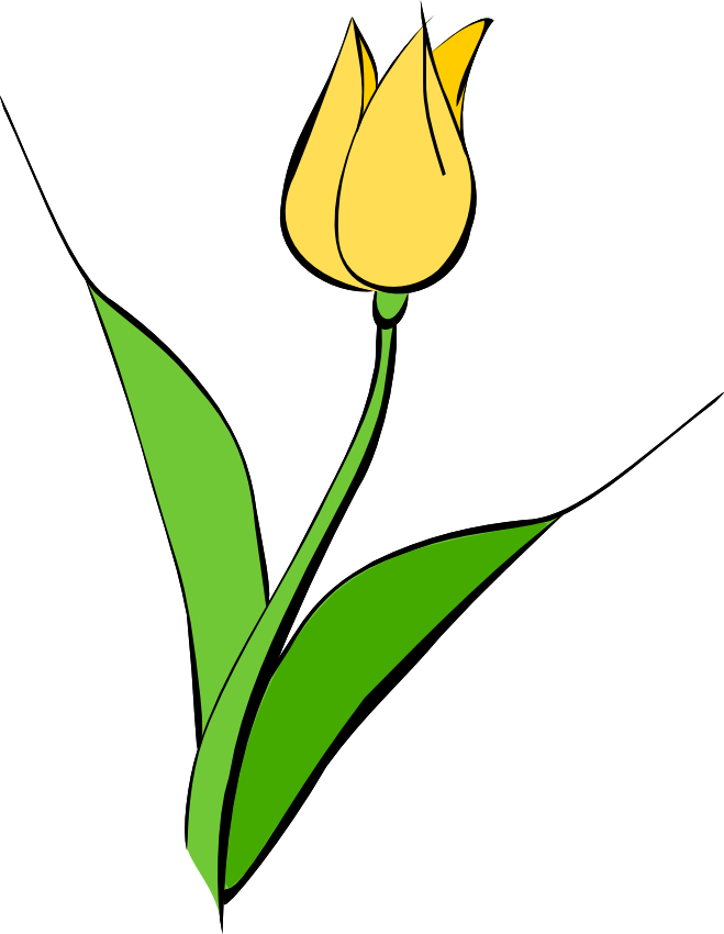 Tulip flower clipart hd - ClipartFox