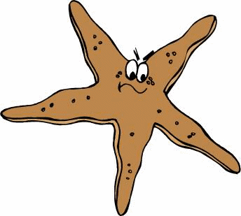 Starfish Graphics and Animated Gifs