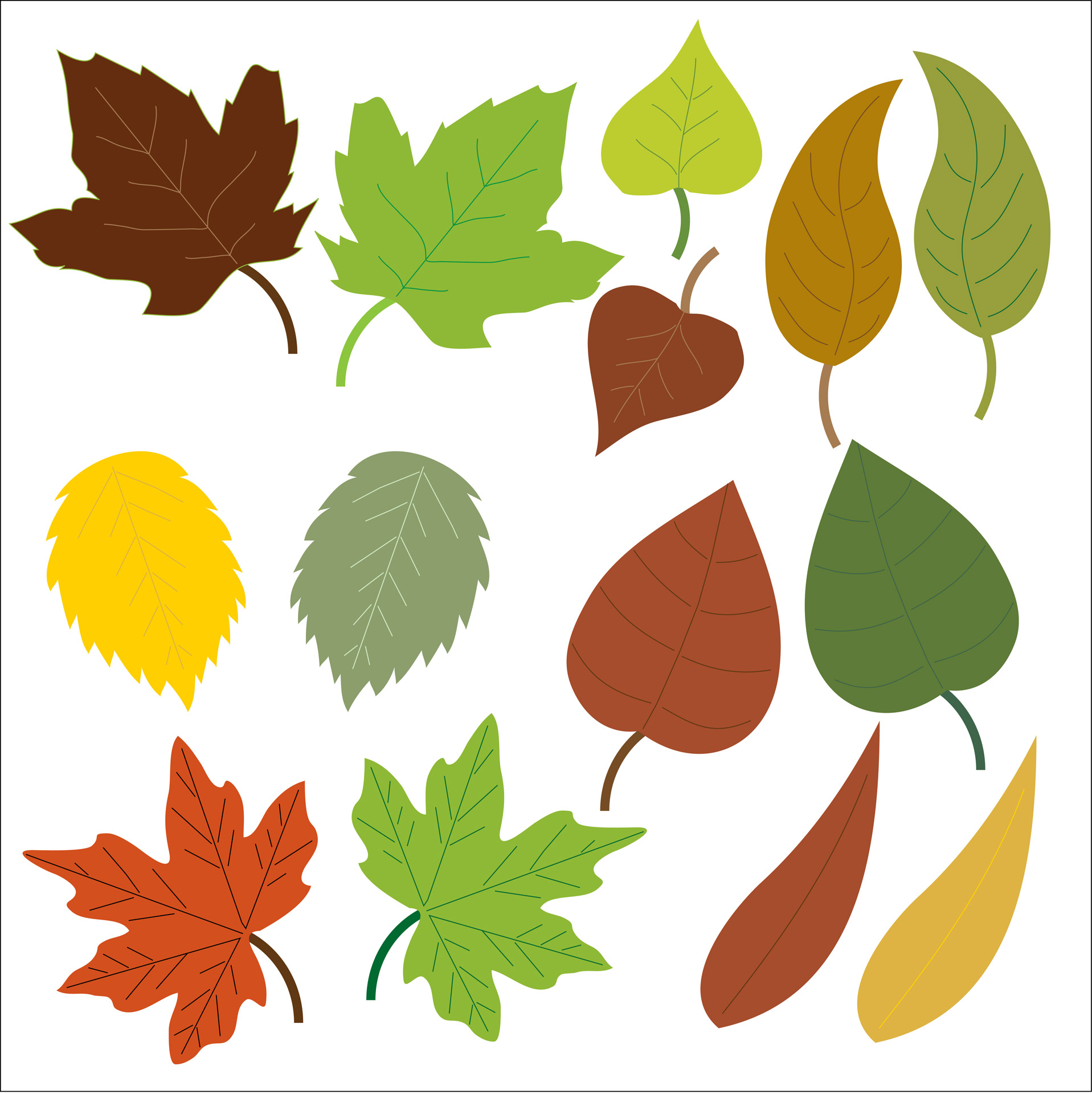 Leaf clipart free – - Vergilis Clipart