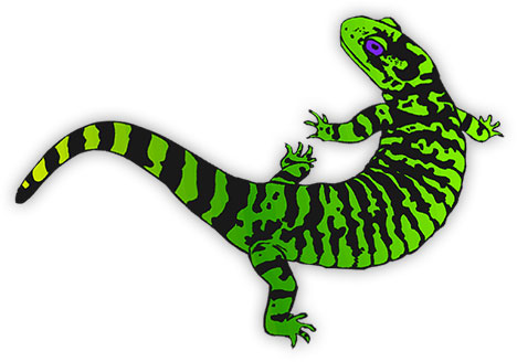 Free Animated Animals - Bird Gifs - Lizard Clipart