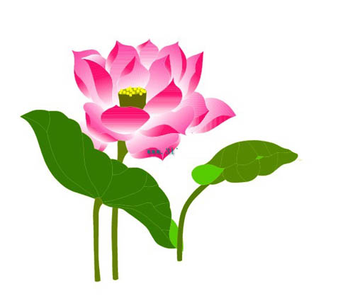 Lotus Flower Clip Art - The Cliparts