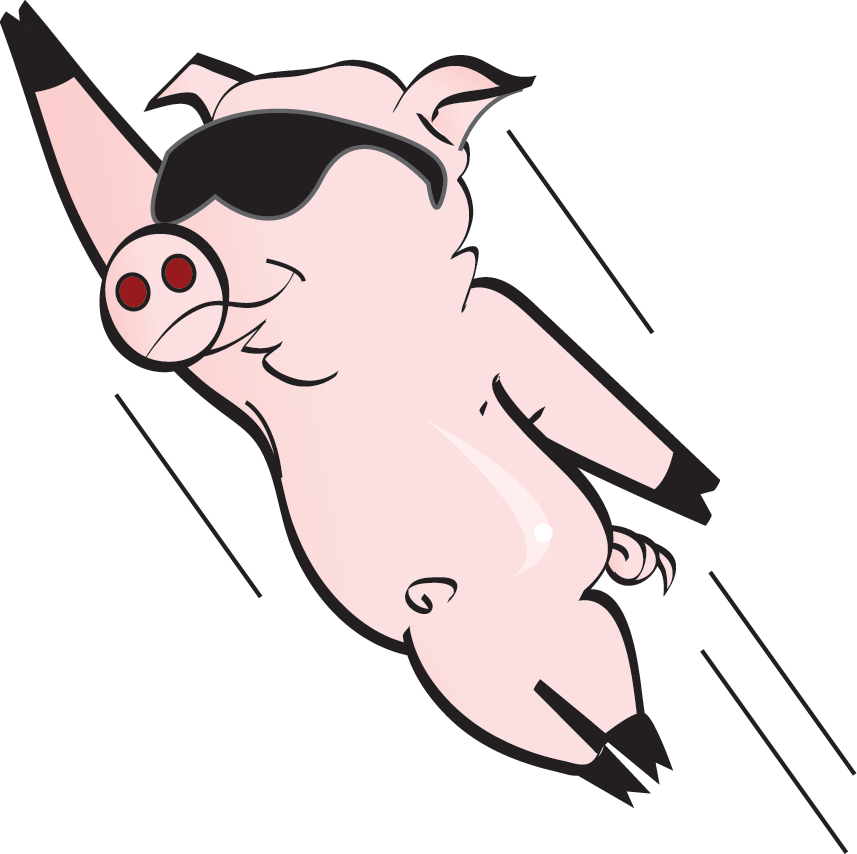 A Pig flying through the Air” | A Principled view