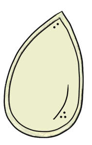 Clipart pumpkin seed