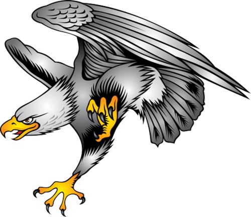 Eagle Clipart - Tumundografico