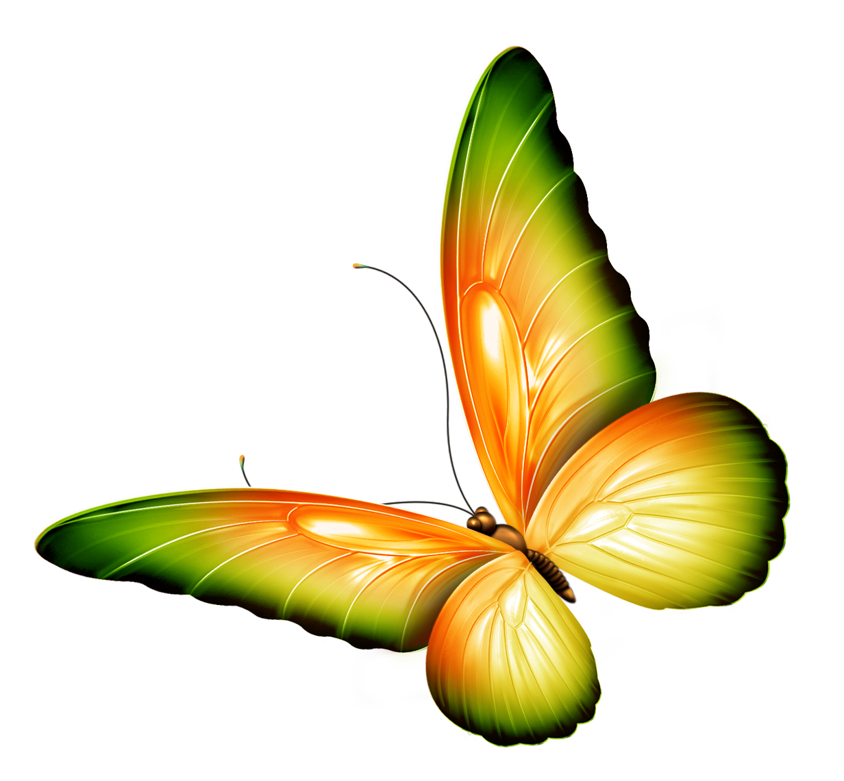 Clipart Flowers And Butterflies Border - Free ...