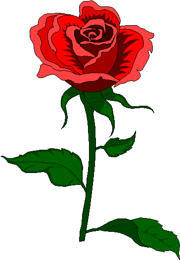 Rose Graphics | Free Download Clip Art | Free Clip Art | on ...