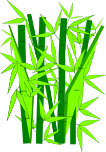 Bamboo Tree Png - ClipArt Best