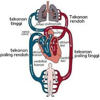 KUMPULAN MATERI ( SITI RIYADHOTUL J)