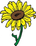 sunflower_clip_art_thumb.jpg