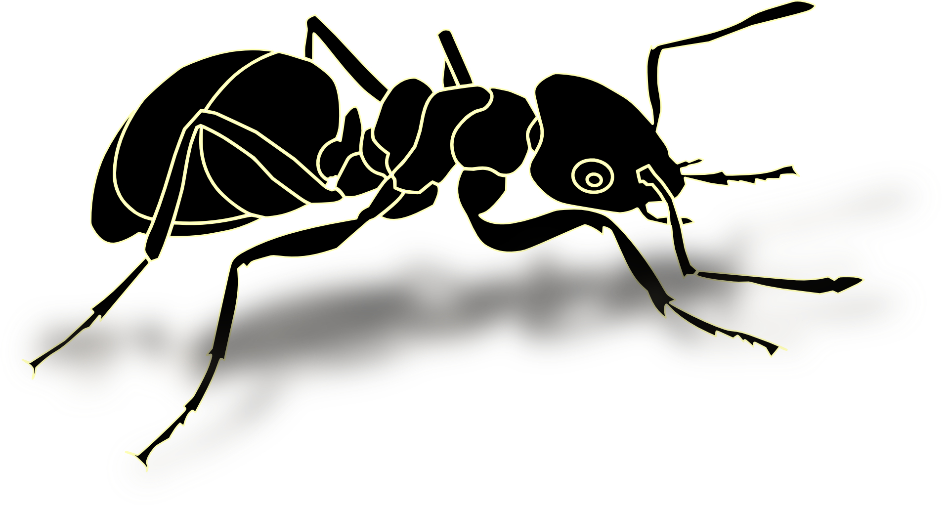 cartoon animal,black ant outline,insect vectorFree PSD,