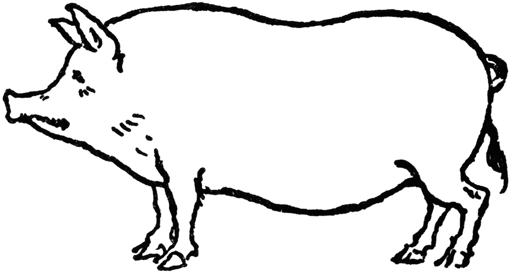 Pig | ClipArt ETC