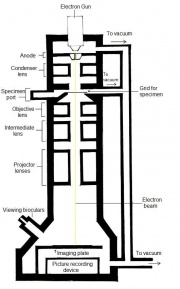 Parts Of A Microscope Diagram - ClipArt Best