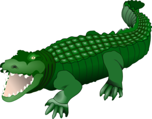 croc-md.png