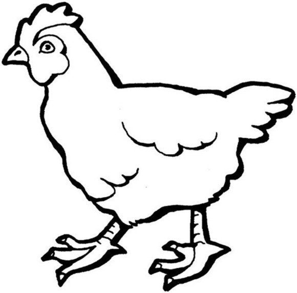 OUTLINE PICTURE OF HEN - ClipArt Best