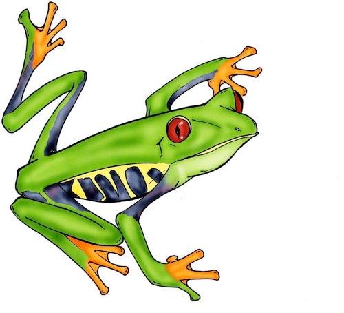 Tree frog images clip art