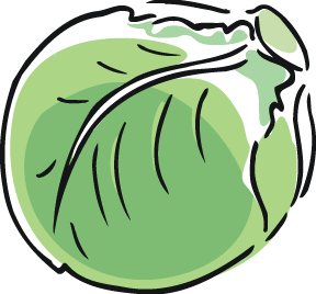 Lettuce Clip Art - ClipArt Best