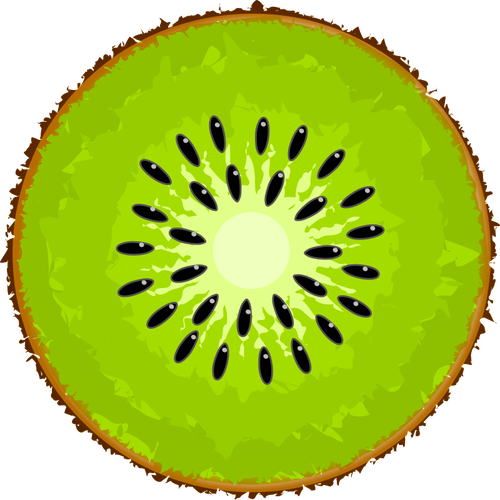 Slice of kiwi | Public domain vectors