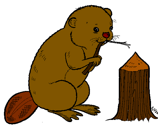 Beaver Clipart - The Cliparts